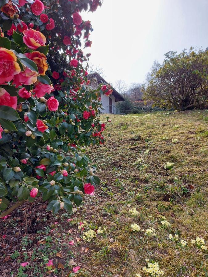 Вілла La Casa Delle Camelie Стреза Екстер'єр фото